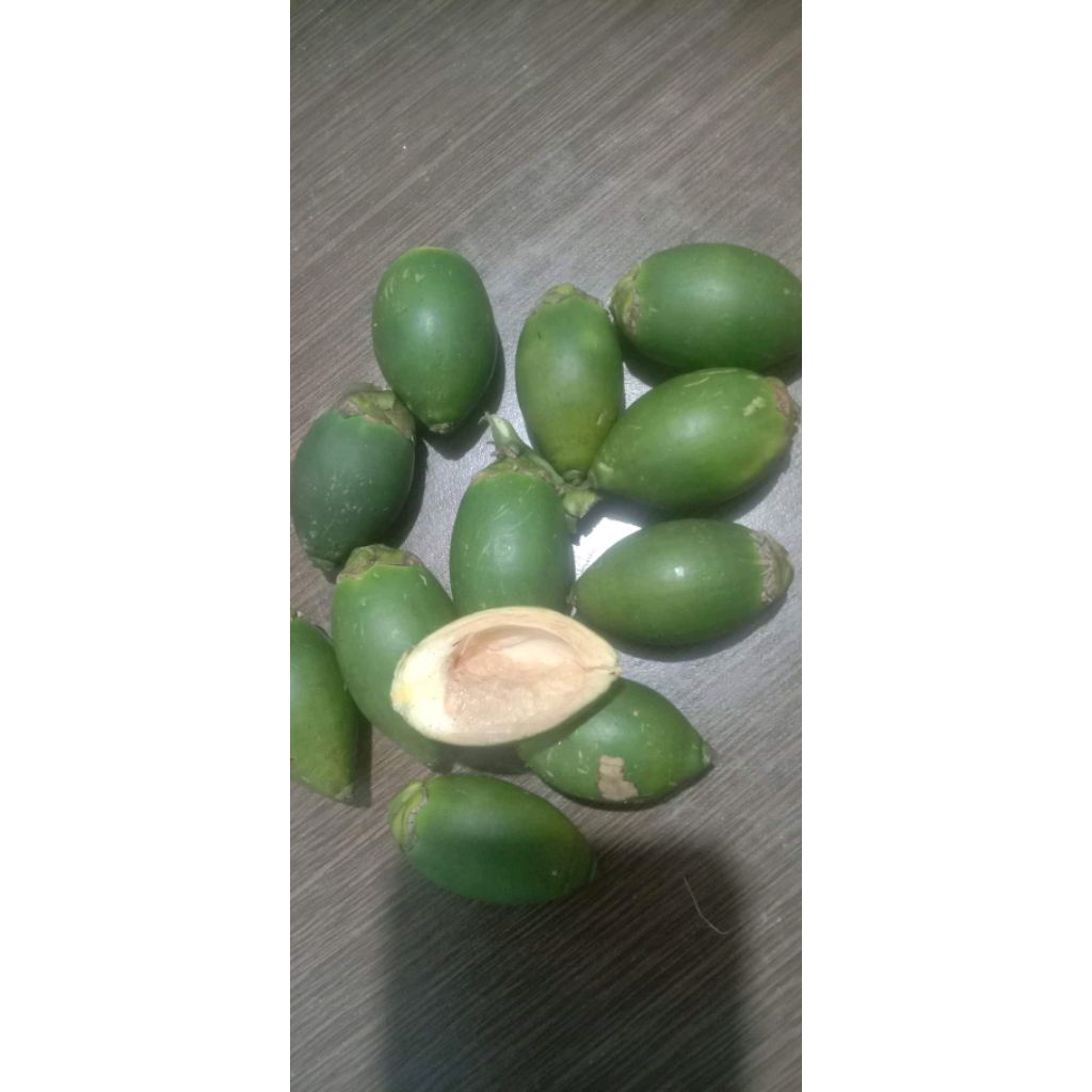 

1kg Buah pinang muda jambe ngora