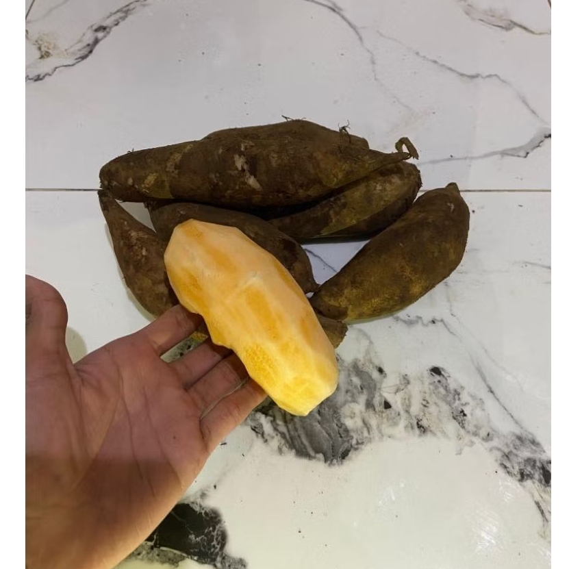 

ubi YACON asli Wonosobo , setengah kg