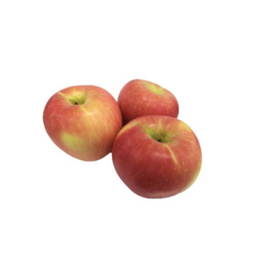 

Apel Merah Premium / Apel All Merk ( Grade C )
