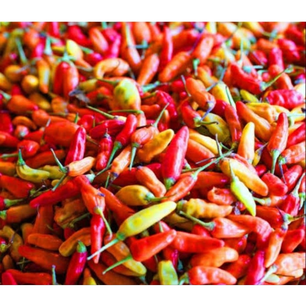 

cabe merah & hijau/cengek,100g,250g,500g