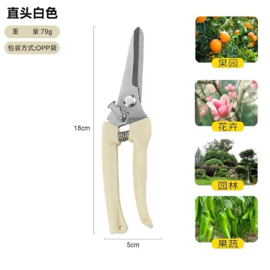 Gunting Dahan Lurus / Ranting Bunga / Ranting Tanaman