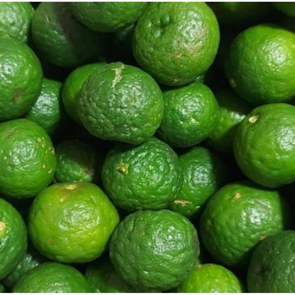 

Jeruk Limo Fresh 250gr