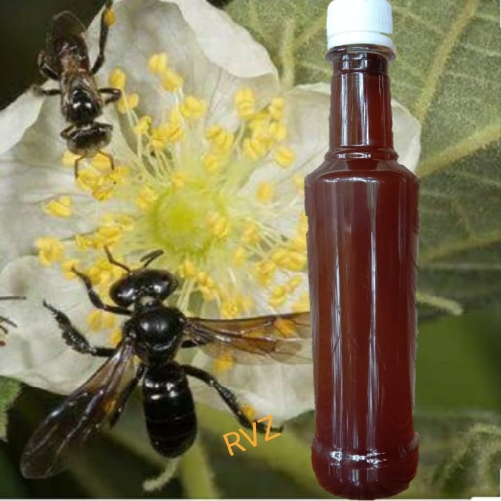 

madu trigona klanceng tewel 510 gram