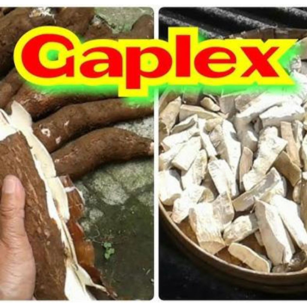 

SINGKONG GAPLEK KERING 1KG BAHAN TEPUNG TIWUL