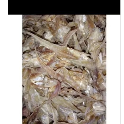 

ikan kerupuk/ bulu ayam 500 gr