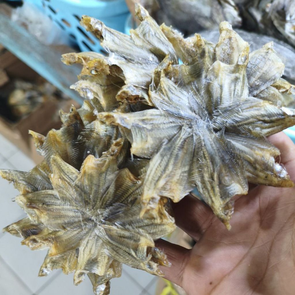 

ikan asin sepat bintang banjar 500gram