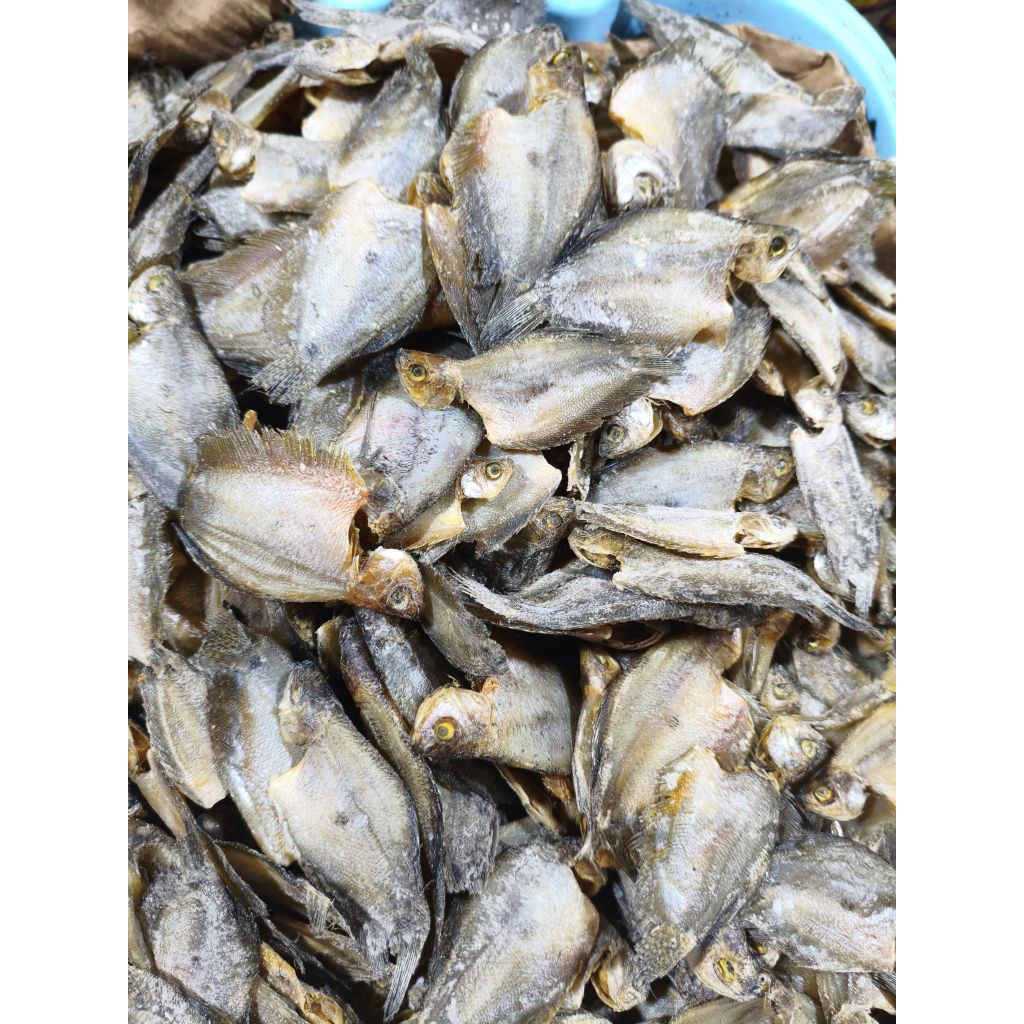 

ikan asin sepat kecil KALIMANTAN 500gram