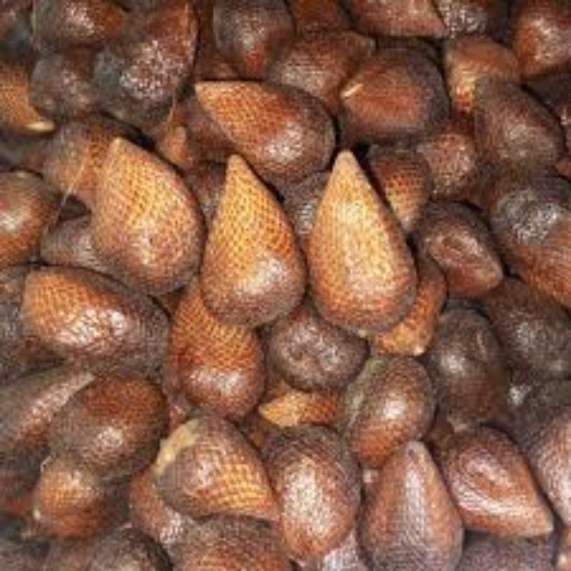 

salak pondoh