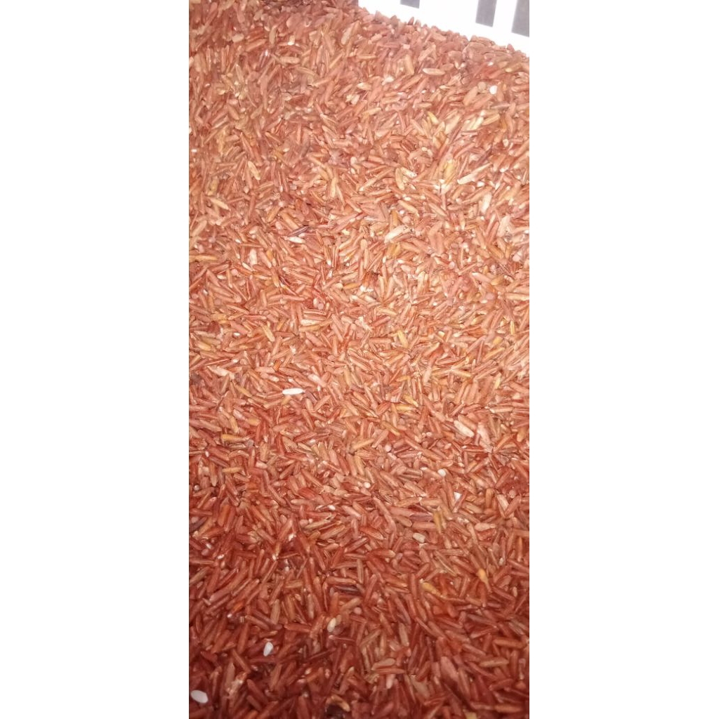 

Beras Merah