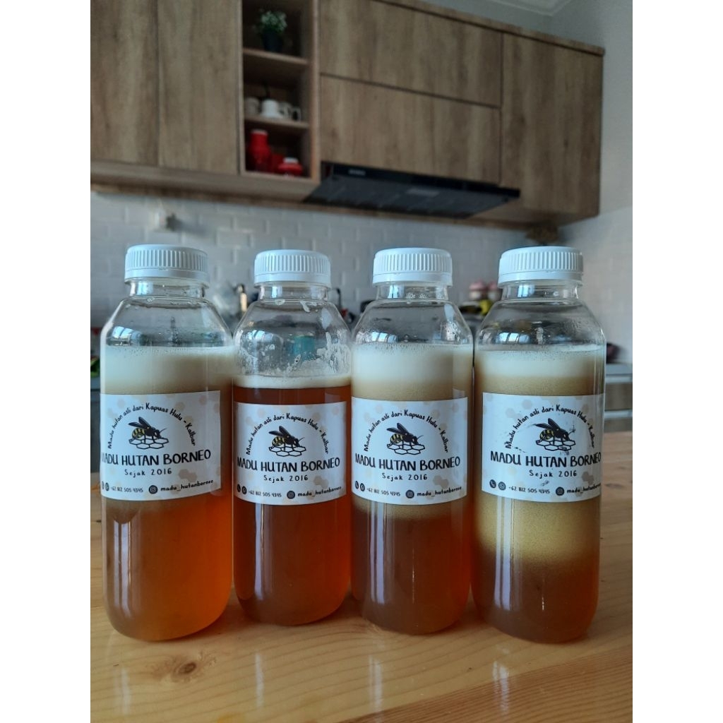 

Madu Asli Hutan Borneo