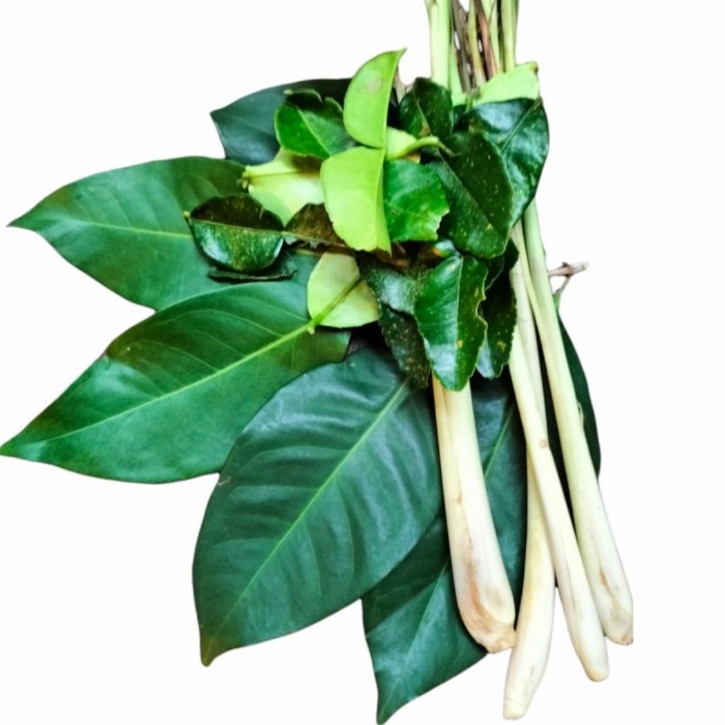 

daun jeruk,sslam,serai,