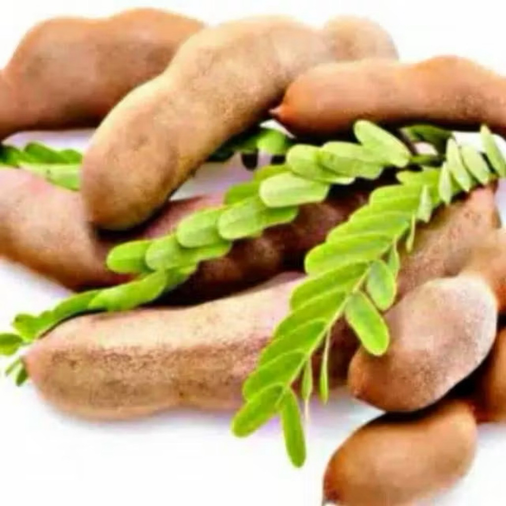 

Asam Jawa muda 1 kg fresh