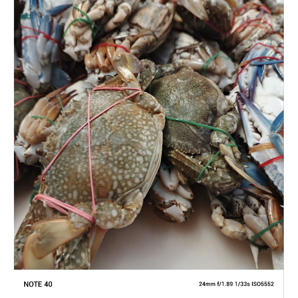 

Kepiting Rajungan 1 kg