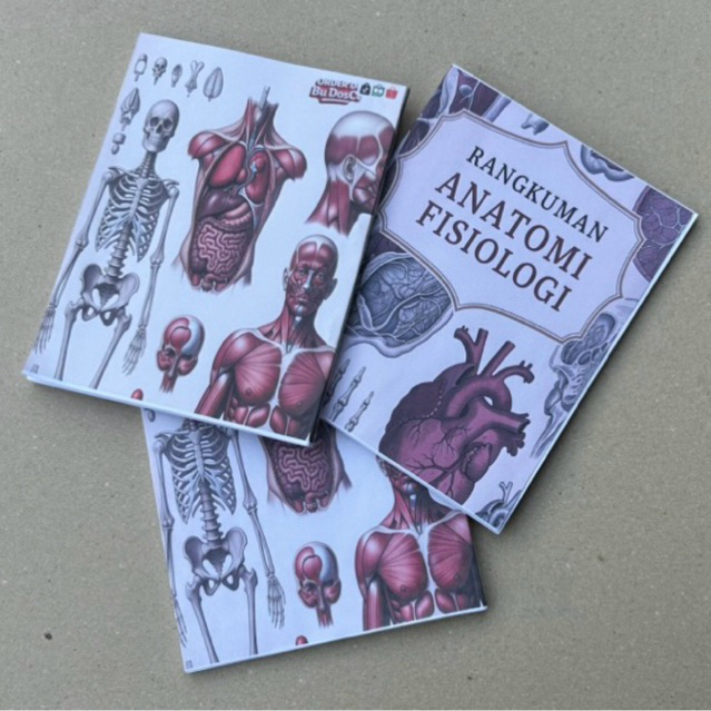 

Rangkuman Anatomi Fisiologi