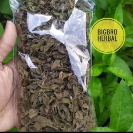 

Daun luntas kering fresh, daun belumtas kering diprosrs saat order masuk