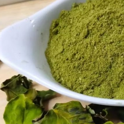 

Bubuk luntas, tepung daun beluntas fresh, diproses ketika order masuk per 100 hram