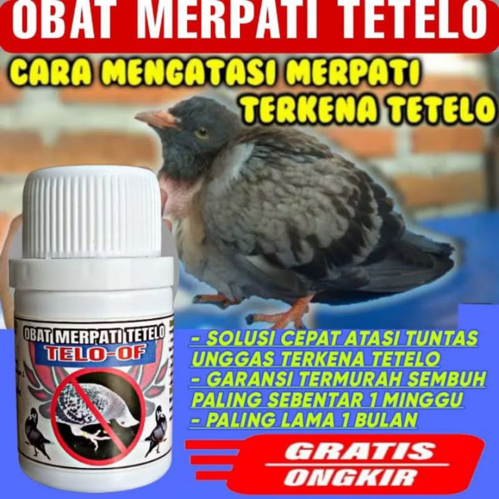 BANYAK DICARI TETELO OF OBAT MERPATI TETELO OF ISI 100 BUTIR paling ampuh sembuh dalam 1 Minggu nutr