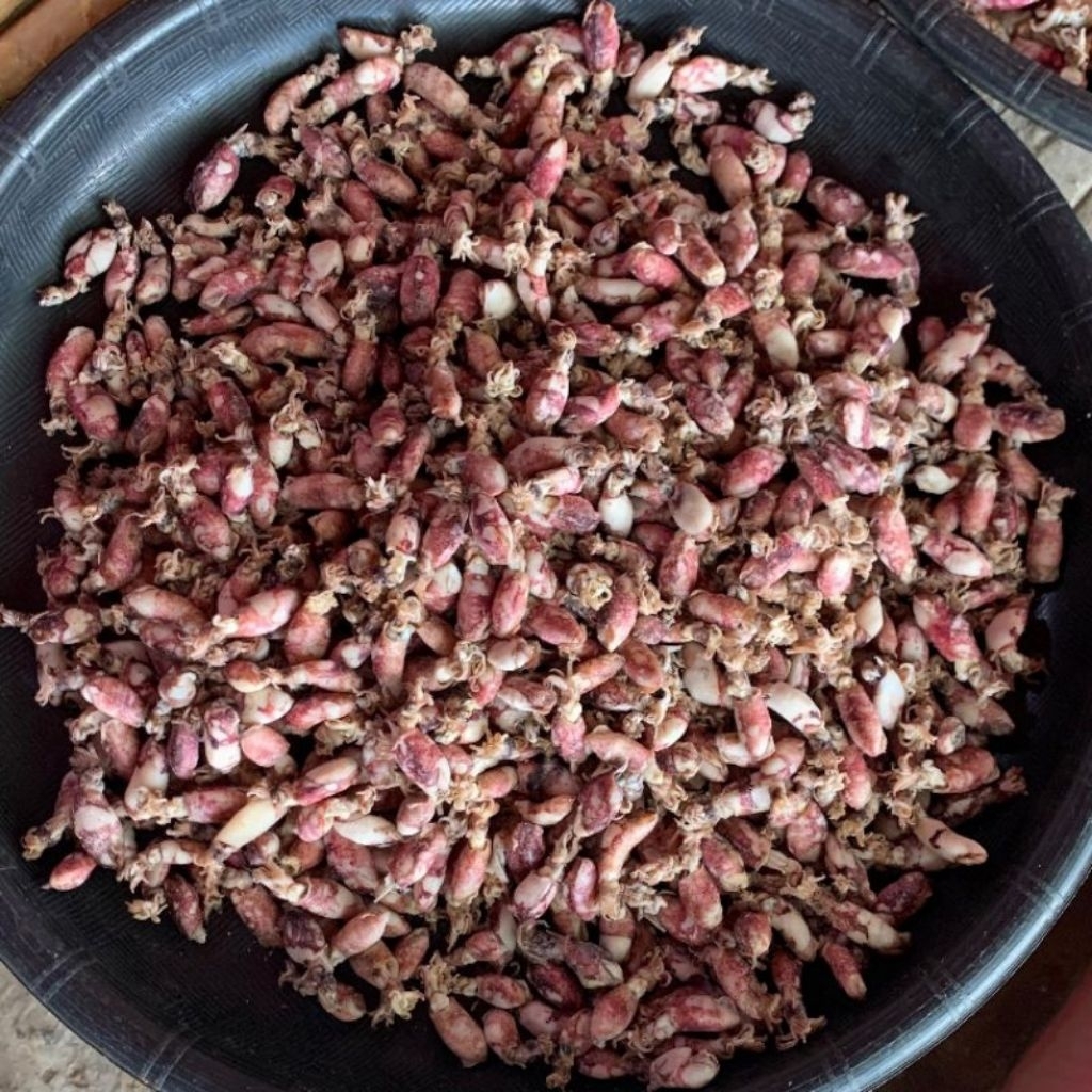 

TOKO 1 (READY BABYCUMI KERING SIZE 0,5-1CM MURAH BAGUS KUALITAS SUPER)