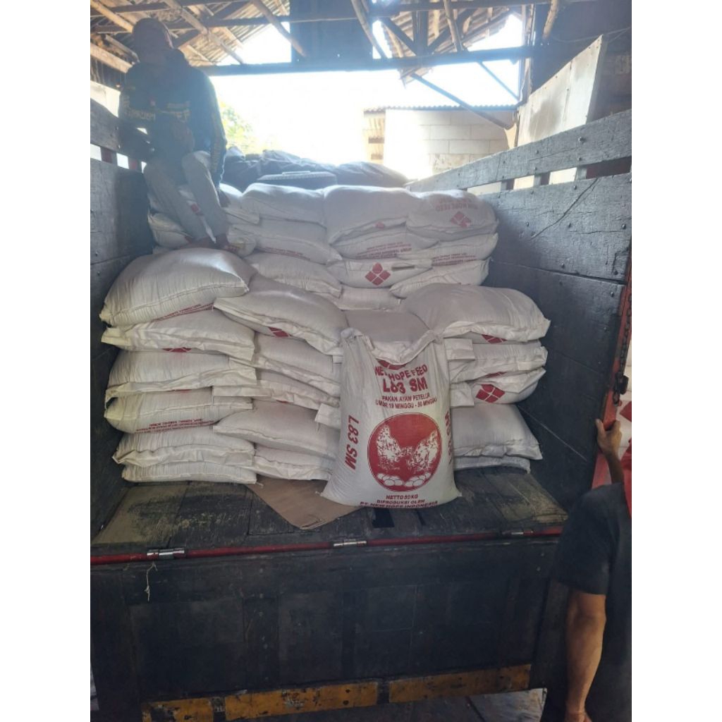 Pakan Ayam petelur berkualitas tinggi bagus 50 kg