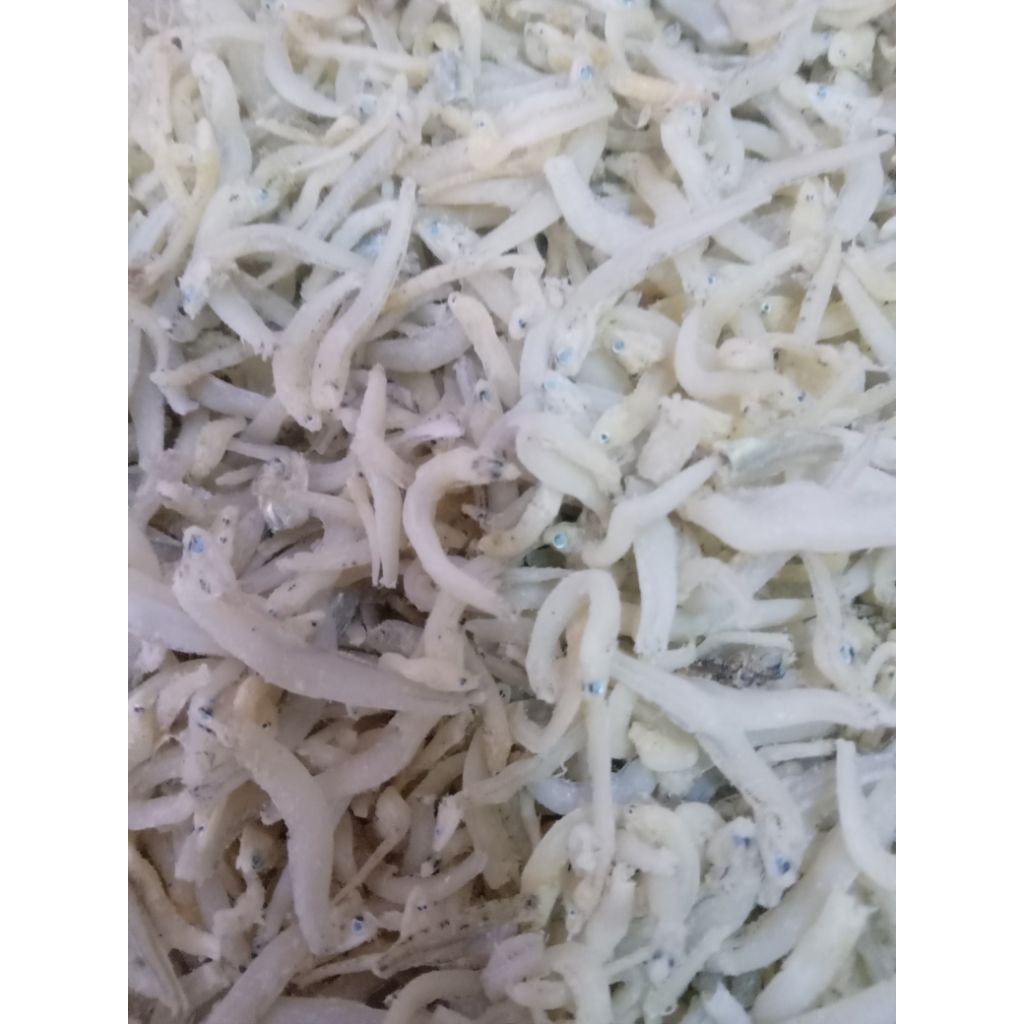 

teri toge super medan