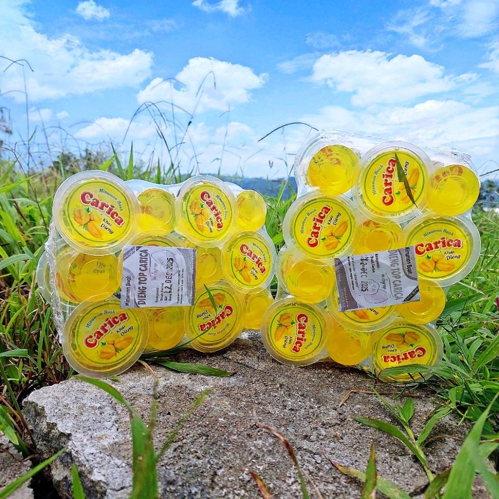 

CARICA KHAS DIENG WONOSOBO 100% GULA MURNI DAN TANPA PENGAWET