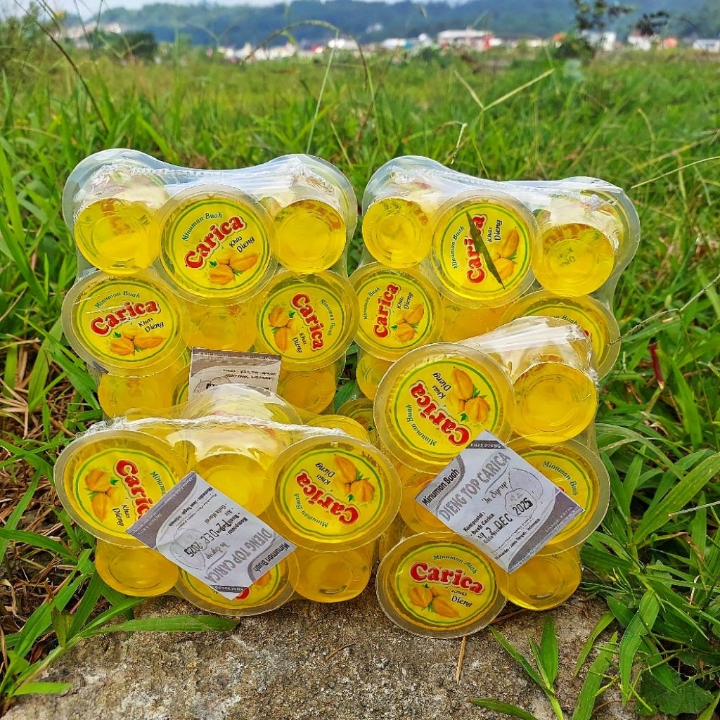 

CARICA KHAS DIENG MENGUNAKAN GULA ASLI DAN TANPA PENGAWET