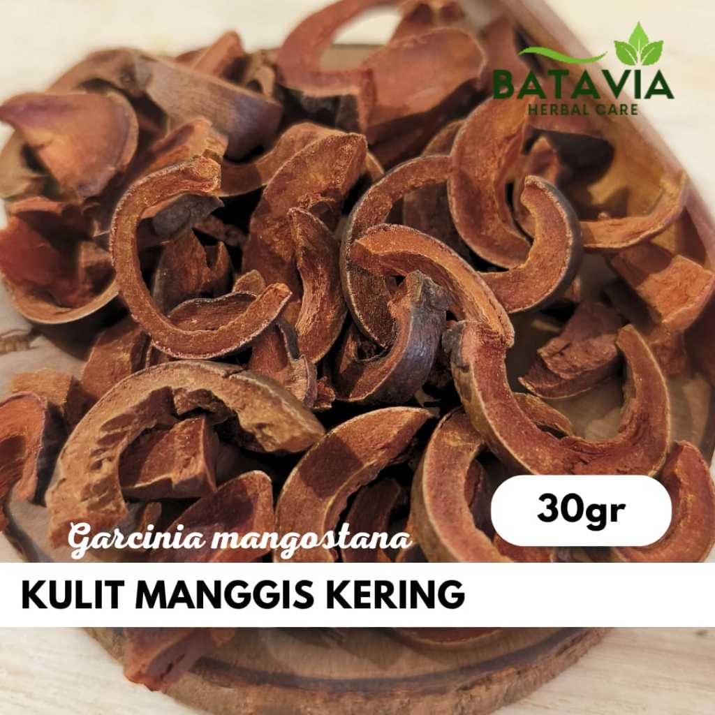 

Kulit Manggis Kering Premium Garcinia Mangostana
