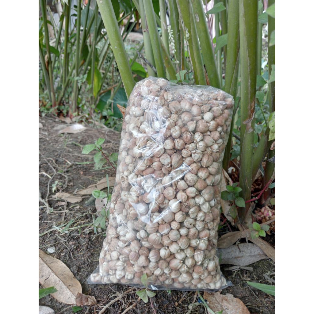 

Kapullaga Kering 1 Kg Wangi Organik (Petani kampung