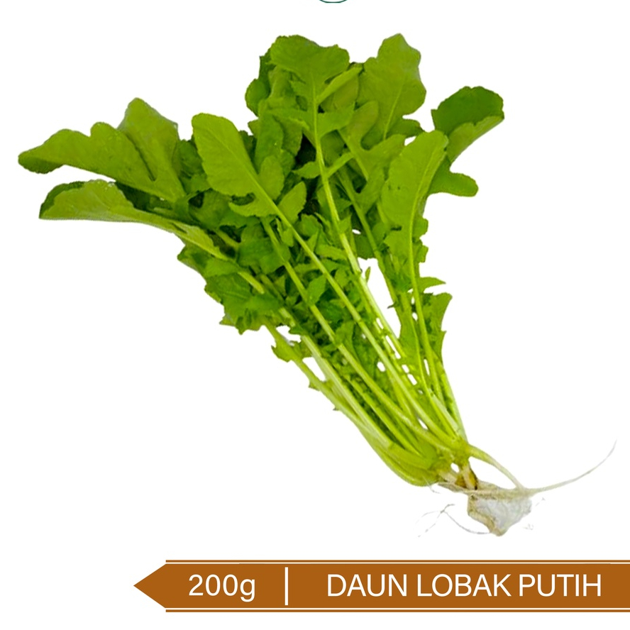 

Daun Lobak Putih Organik / Organic Radish Leaves 200g
