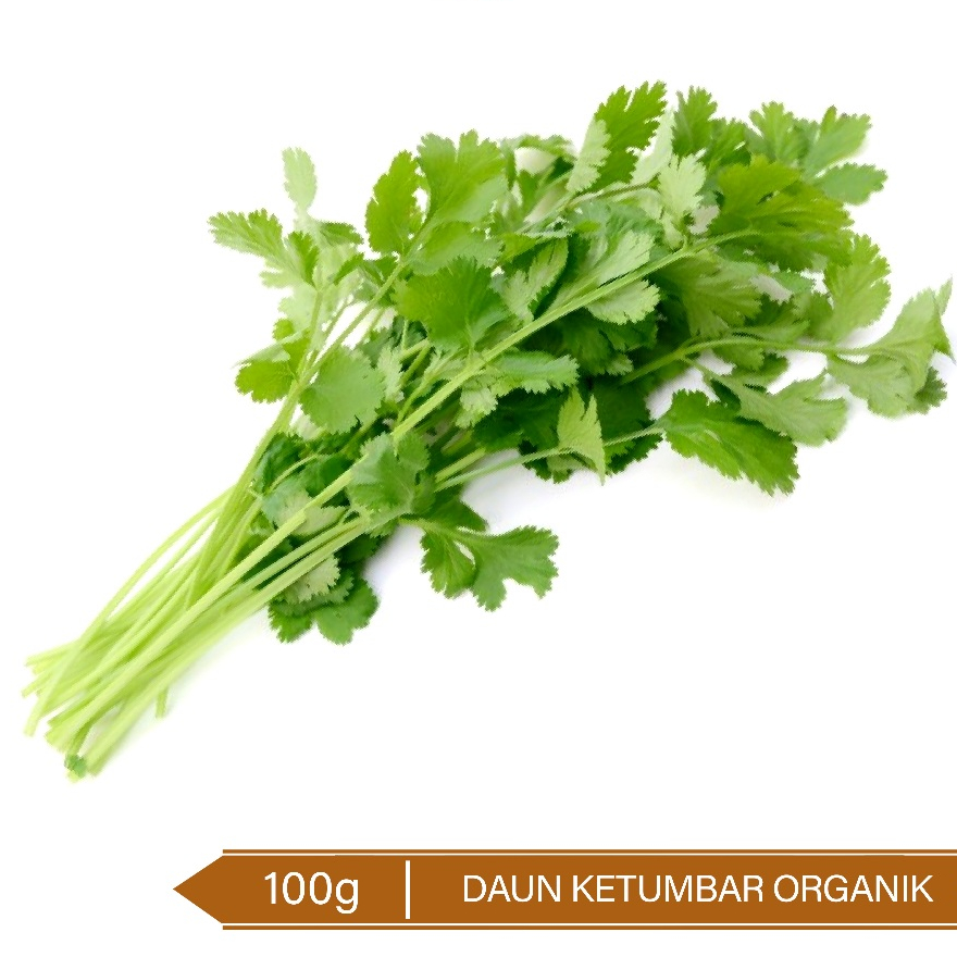 

Daun Wansui Organik / Daun Ketumbar / Corriander Leaves 100g