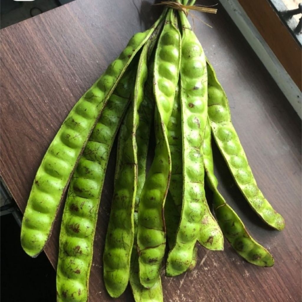 

Pete / Petai Per papan Lalapan endul teman makan sambal