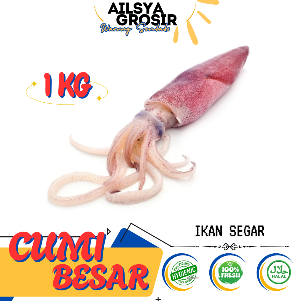 

CUMI CUMI BESAR JUMBO SEGAR - FRESH 1 KG