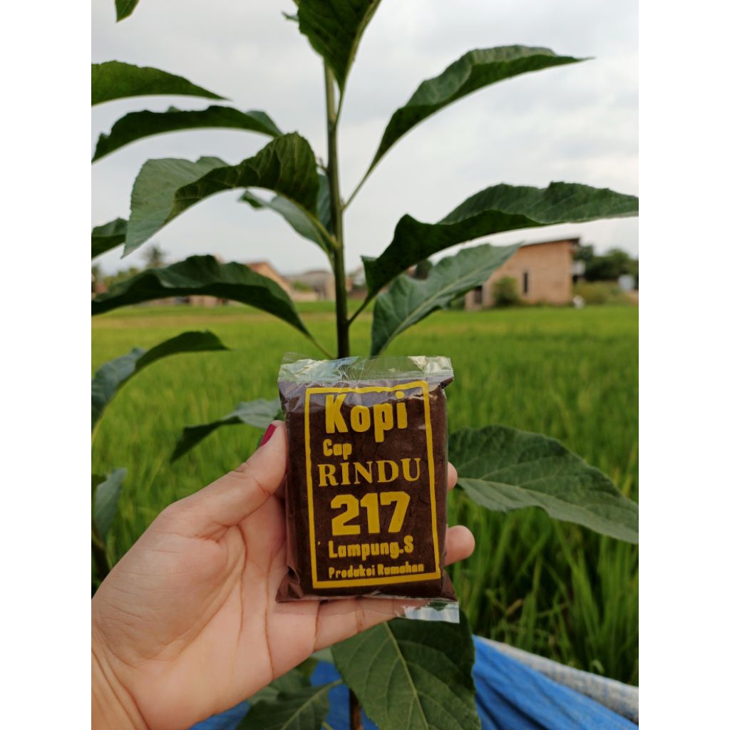 

kopi cap rindu lampung selatan produksi rumahan