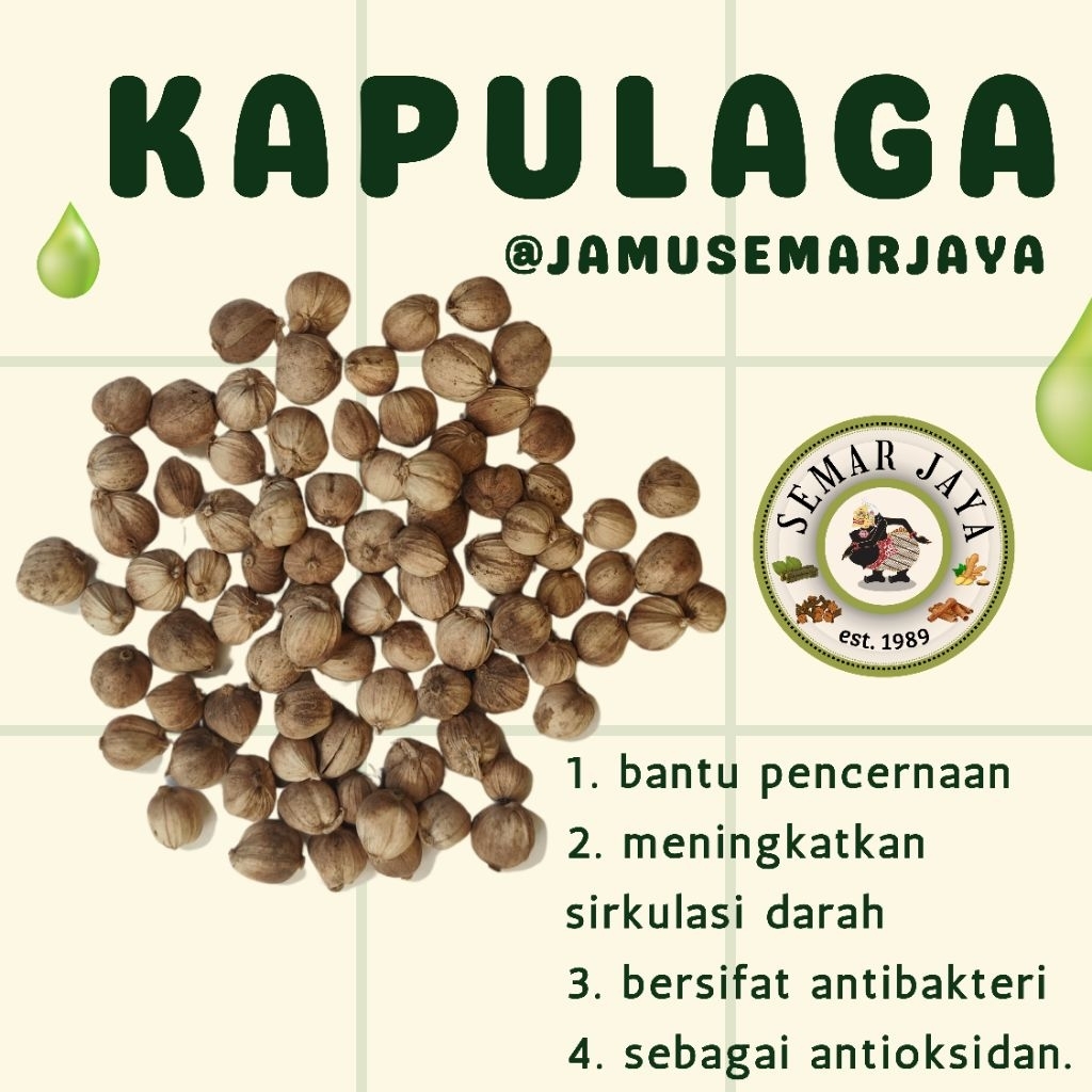

SEMAR JAYA | KAPULAGA JAWA ASLI PREMIUM 100% MURNI, HALAL, TANPA PEMUTIH, TRADISIONAL