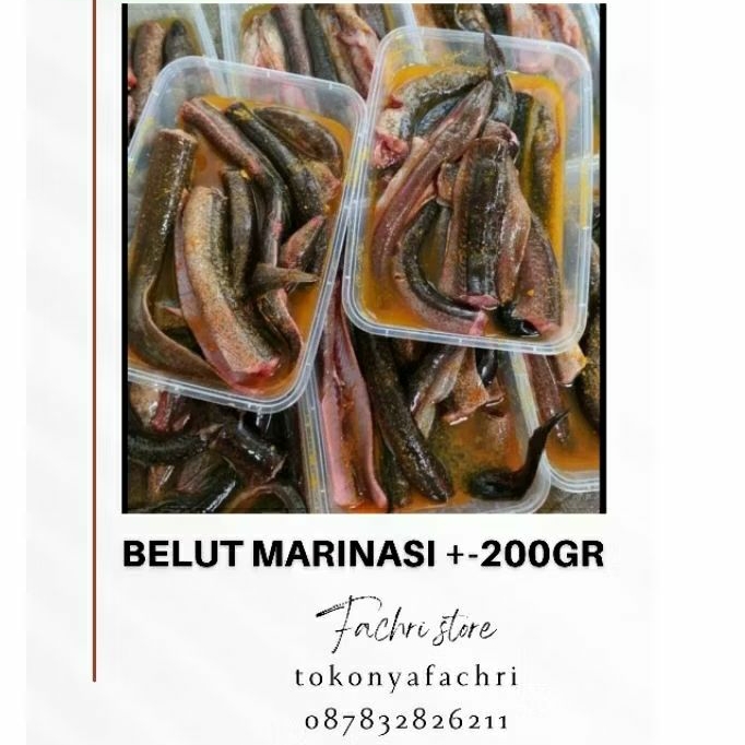 

belut marinasi +-200gram / belut siap goreng / belut enak