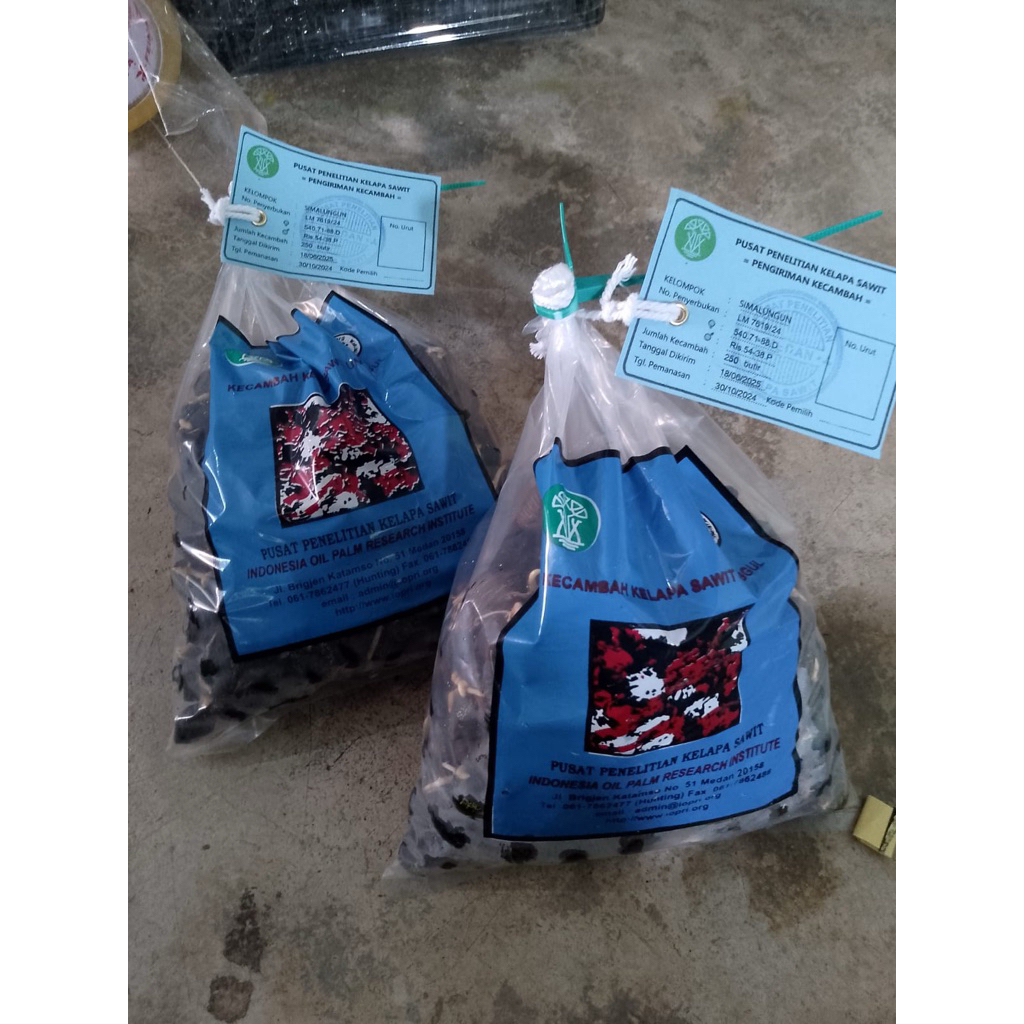 KECAMBAH SAWIT PPKS 540