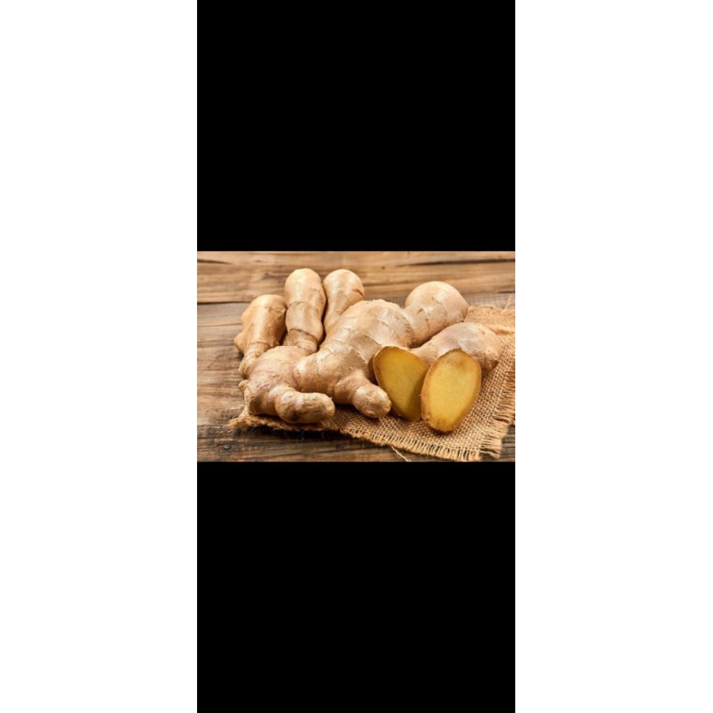 

jahe gajah dan fresh 500