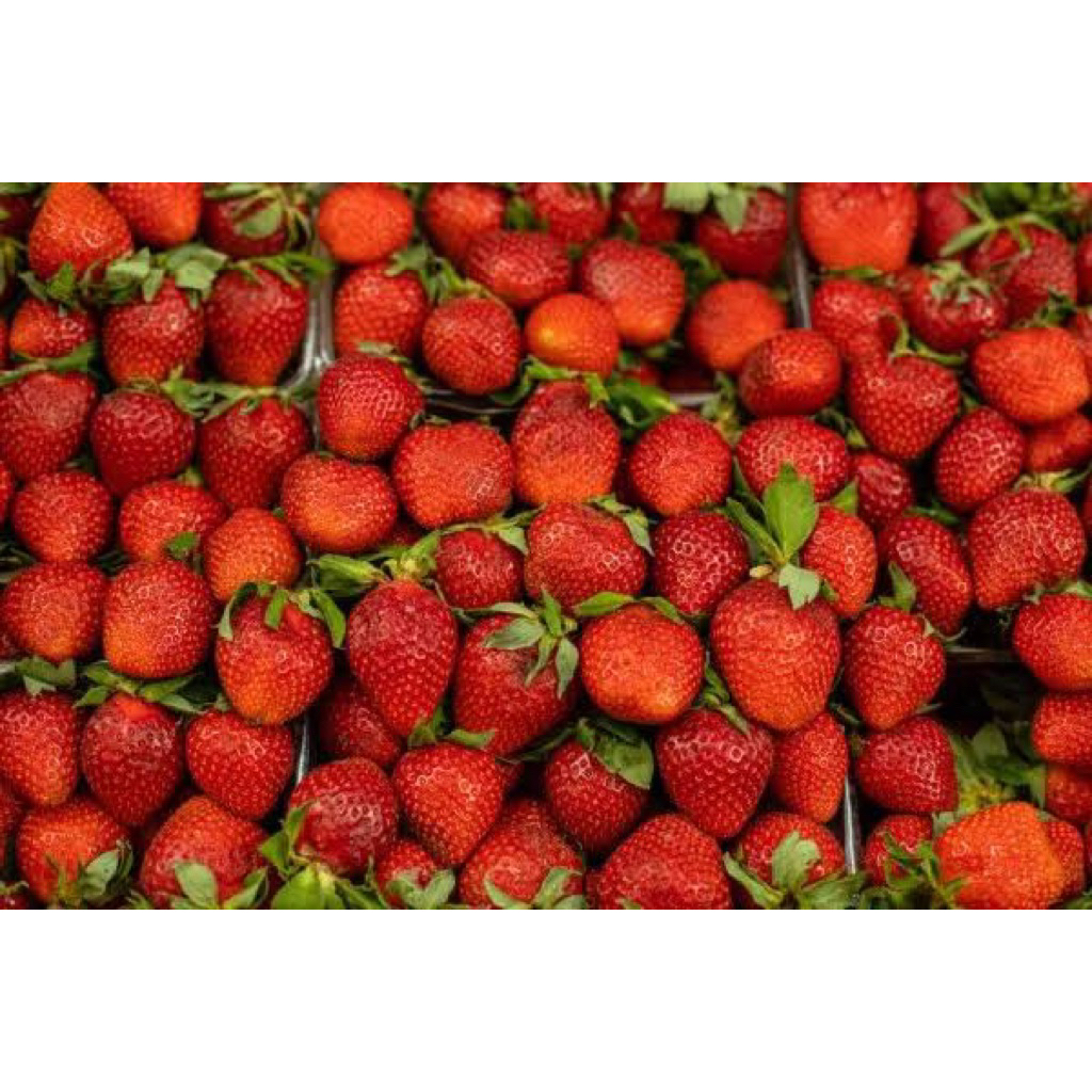 

strawberry grade a premium