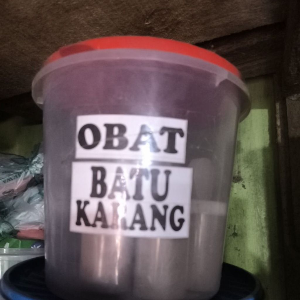 Obat Herbal Batu Karang