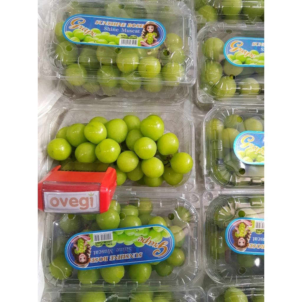 

GREEN SHINE MUSCAT PACK/ANGGUR SHINE MUSCAT/ANGGUR MUSCAT IMPORT