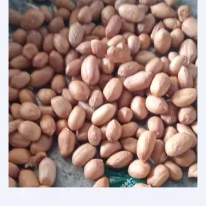 

Kacang tanah 1/2 kg