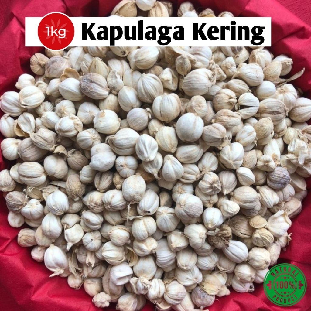 

Kapulaga Kering | 1 Kg Kualitas Super | Pengeringan Organik | Suka Tani99