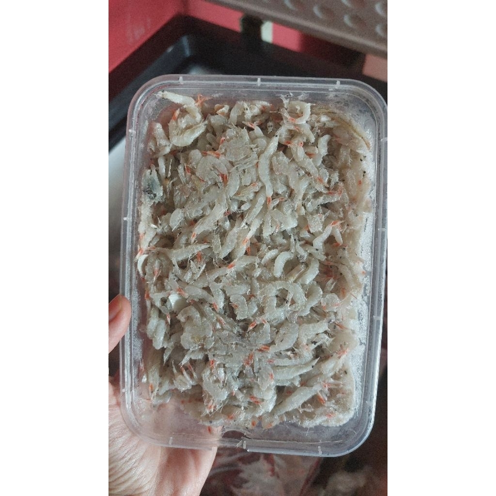 Udang rebon basah 500gr