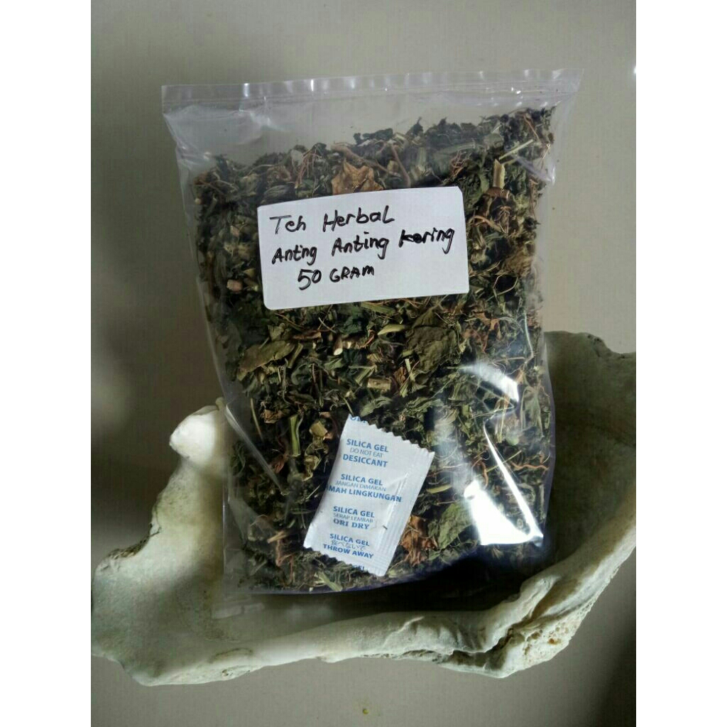 

Teh herbal Daun anting anting (50gram) Acalypha indica L daun dan akar kucing kering