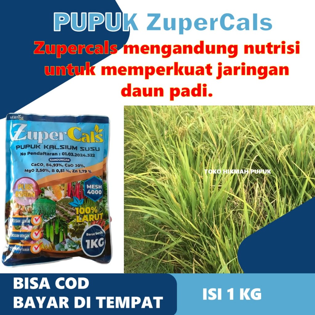 Zupercals Padi Hijau Sehat – Pupuk Cair Organik Atasi Daun Kuning, Layu Daun, Kresek & Hawar Padi Un