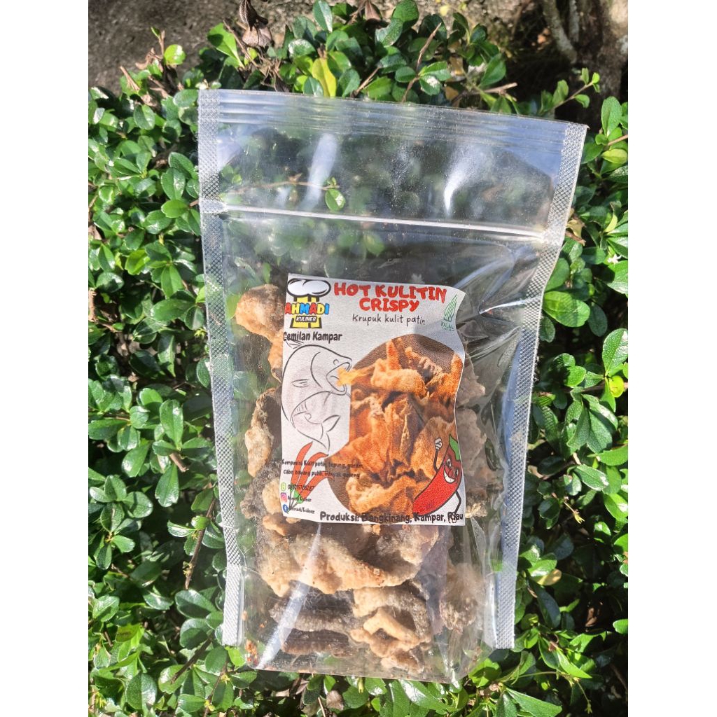 

kulit patin crispy