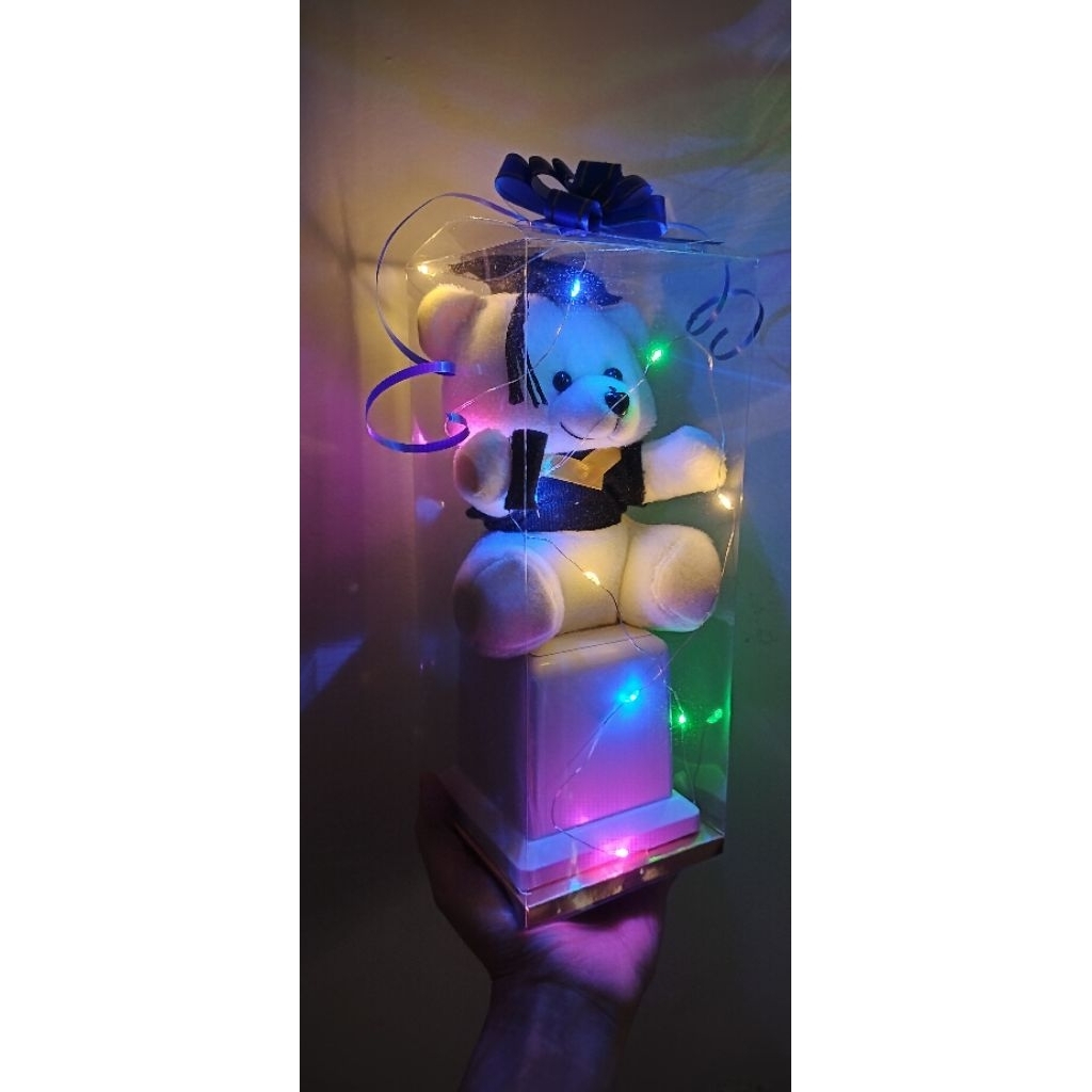 Boneka Wisuda / Piala Boneka Wisuda / Tropy Boneka Wisuda / Piala Lomba