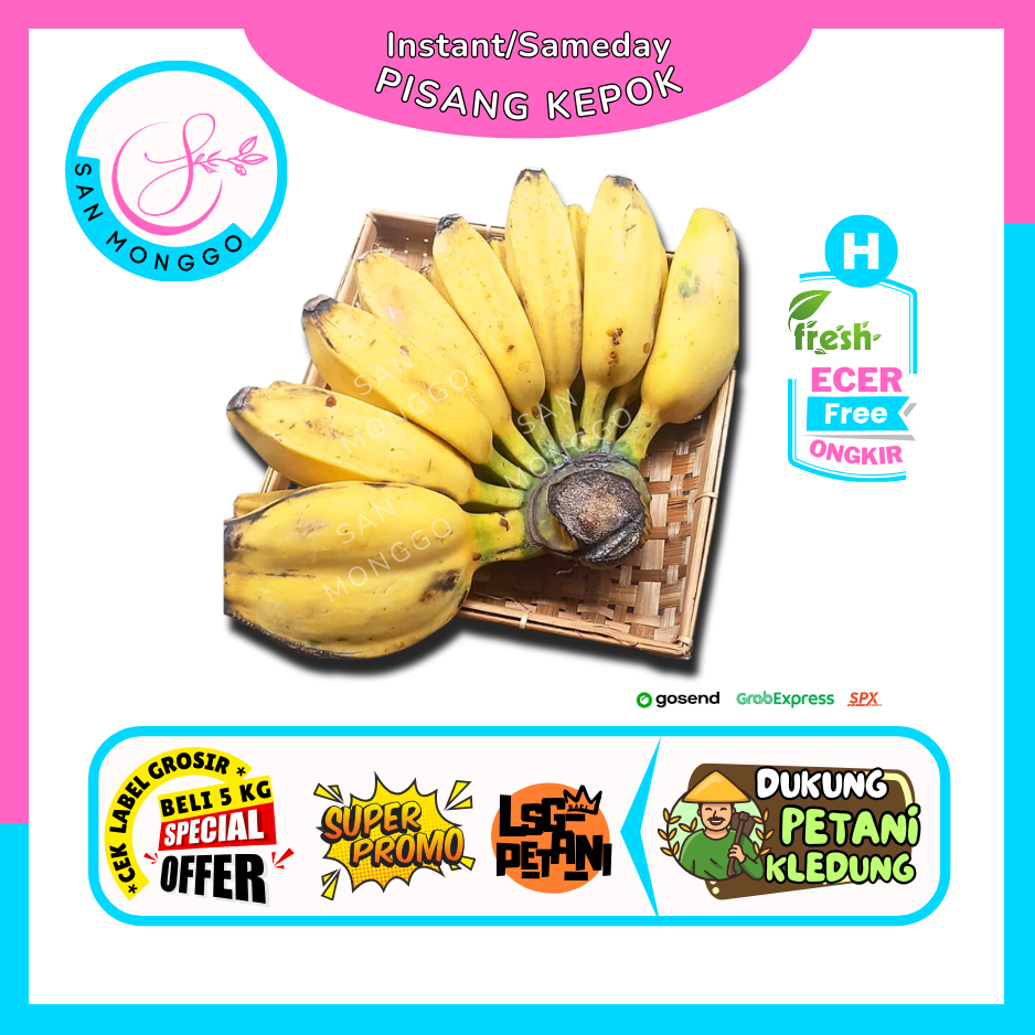

Sanmonggoo >> Pisang Kepok Kuning Matang / Mentah -- Hasil Bumi Sindoro Sumbing Ecer (H)