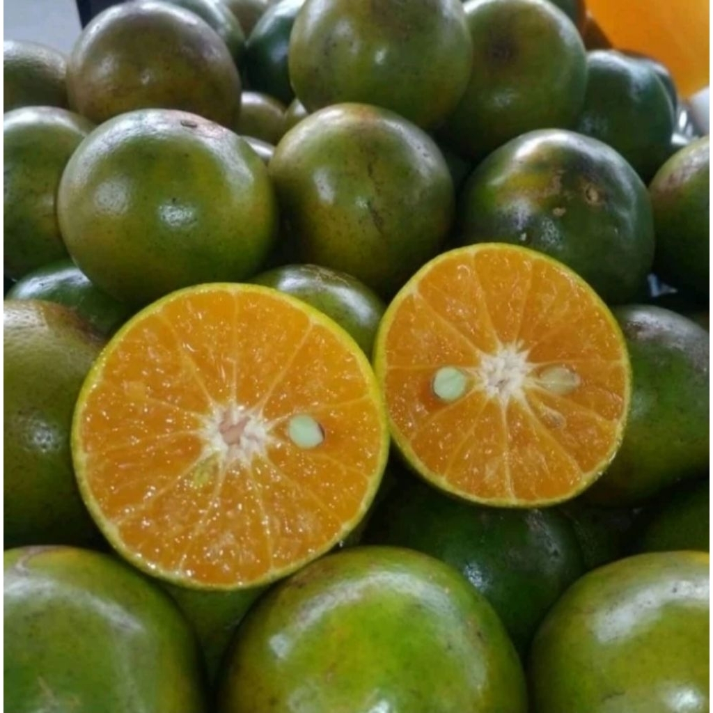 

Jeruk Peras Segar/Jeruk Peras Asam Manis 1kg