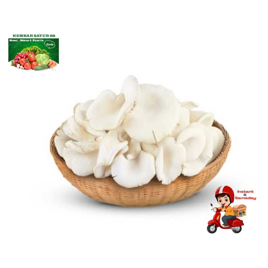 

Jamur Tiram - Kembarsayur88